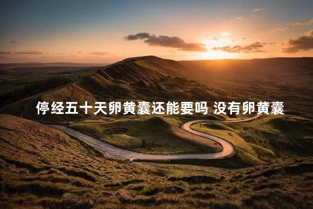 停经五十天卵黄囊还能要吗 没有卵黄囊多久会流产